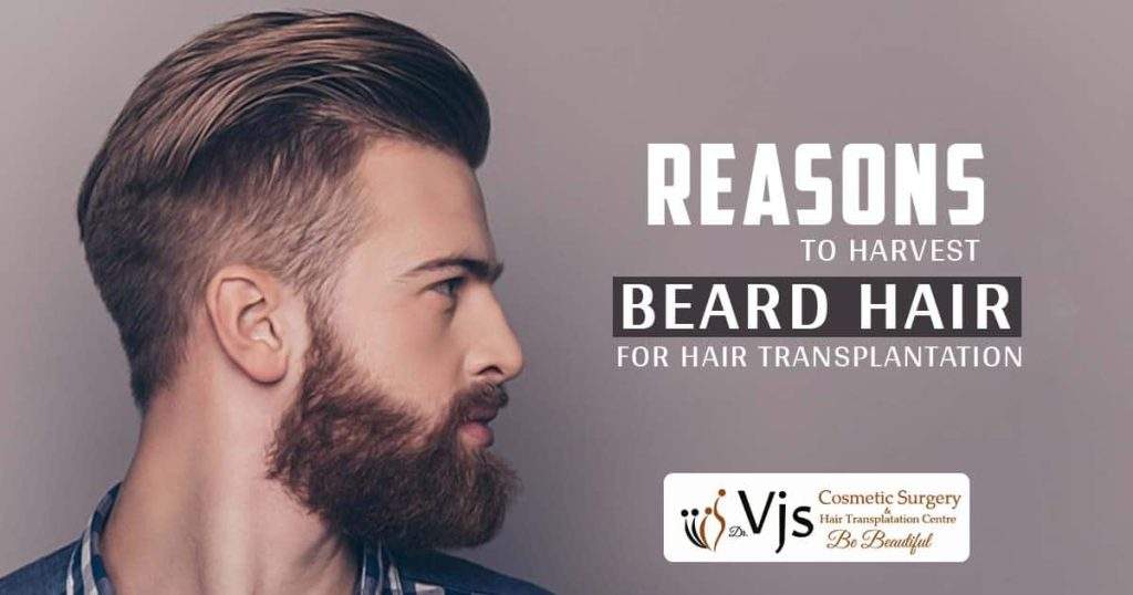 Is it ok to harvest beard Beard Hair for Scalp Hair Transplantation?