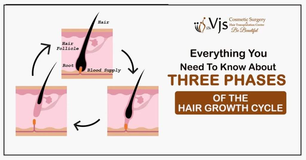 Everything you need to know about three phases of the hair growth cycle